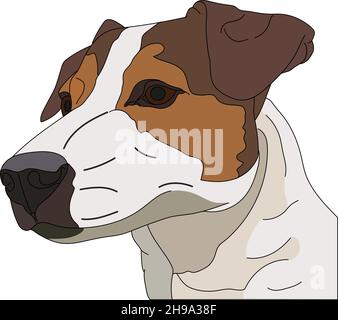 Jack Russell Terrier. Illustrazione vettoriale di un cane. Disegno artistico vettoriale a mano su sfondo bianco. Illustrazione Vettoriale