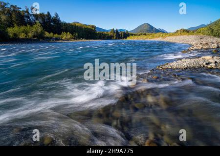 Quinault River al Bunch Canyon, Olympic National Park, Washington state, USA Foto Stock