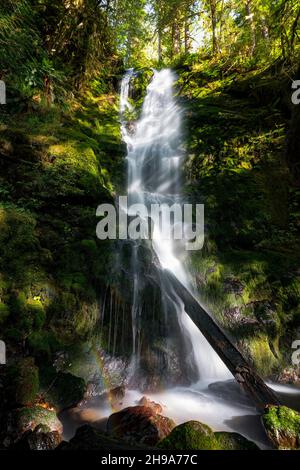 Cascate di Merriman all'Olympic National Park, Washington state, USA Foto Stock