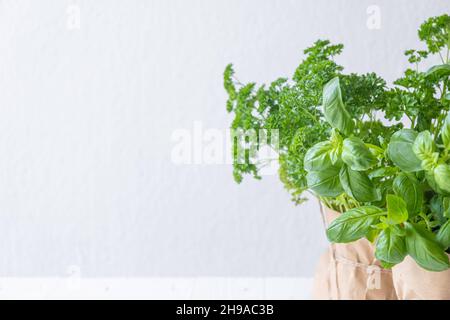 Cespuglio di basilico e prezzemolo su sfondo bianco Foto Stock