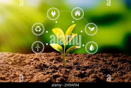 Fonti di energia rinnovabili: Sostenibilità, efficienza energetica, concetto di crisi energetica Foto Stock