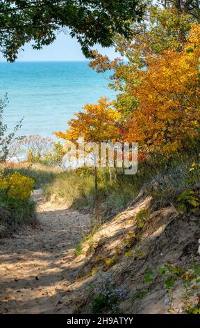 Colorate dune autunnali sulle rive del lago Michigan negli Stati Uniti Foto Stock