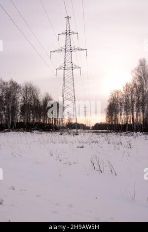 I pali metallici alti di una linea di trasmissione elettrica si trovano in una foresta attraverso la foresta invernale al tramonto. Novosibirsk regione, Siberia, Russia. Foto Stock