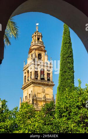 Torre del Alminar Campanile di Mezquita-Cattedrale, Cordoba, Provincia di Cordoba, Comunità Autonoma Andalusia, Spagna Foto Stock