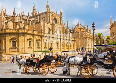 Carrozza a cavallo di fronte alla cattedrale di Siviglia, patrimonio dell'umanità dell'UNESCO, Siviglia, provincia di Siviglia, Comunità autonoma dell'Andalusia, Spagna Foto Stock