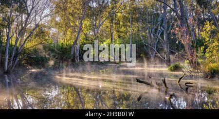 Una nebbia leggera Foto Stock