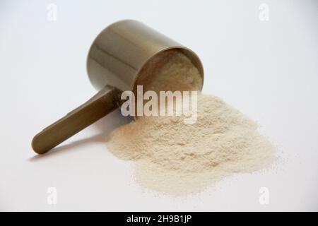 Paletta marrone con polvere di grana fine beige - Foto Foto Stock