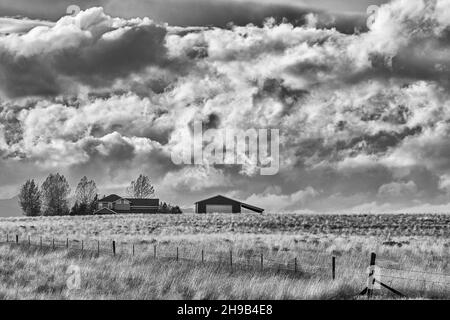 Fattoria con terra di grano, stato orientale di Washington, Stati Uniti d'America Foto Stock