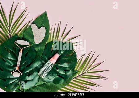 Massaggiatore Gua Sha, siero facciale e rullo in quarzo rosa su foglie tropicali su sfondo rosa. Foto Stock