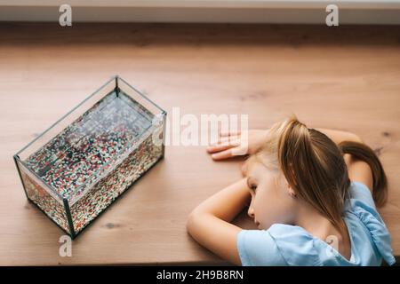 Vista dall'alto della ragazza piccola graziosa che guarda il piccolo pesce d'oro nell'acquario che giace sul tavolo dalla finestra. Foto Stock