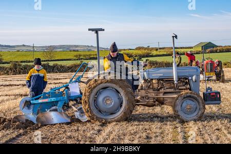 Clonakilty Plowing Match al Rocksavage 2021 dicembre Foto Stock