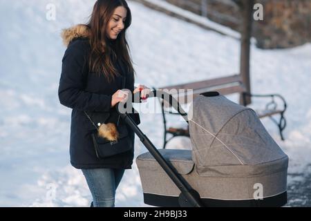 Giovane madre che cammina con il suo bambino in pram. Bellissimo stoller. Fotosessione invernale Foto Stock