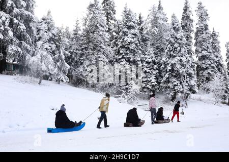 Srinagar, India. 06 dicembre 2021. I turisti indiani possono godersi un giro in slitta presso la stazione sciistica coperta di neve di Gulmarg dopo la prima nevicata pesante della stagione il 06 dicembre 2021 a Gulmarg, Kashmir. Gulmarg, situato ai piedi dell'Himalaya a 2,745 metri (9,000 piedi) sul livello del mare, è una delle principali destinazioni sciistiche dell'Asia meridionale. (Foto di Sajad Hameed/Pacific Press) Credit: Pacific Press Media Production Corp./Alamy Live News Foto Stock