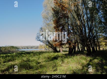 Begec, Serbia - Ottobre 30. 2021: Panorama autunnale sul lago artificiale Begecka jama, vicino alla città di Novi Sad. Foto Stock