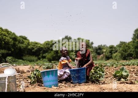 Due ragazze africane nere e carine che si siedono in un campo vegetale che gioca con l'acqua Foto Stock