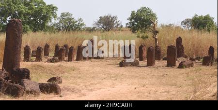 I cerchi di pietra di Senegambia a Wassu sono un sito patrimonio dell'umanità dell'UNESCO. Si ritiene che le pietre risalano dal 300 a.C. al 1600s. Foto Stock