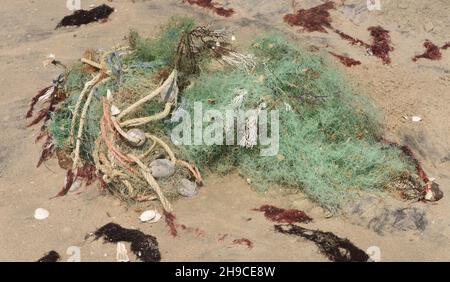 I coralli ramificati strappati dal fondo marino si trovano tra attrezzi da pesca scartati o persi sulla spiaggia della costa atlantica del Gambia. Kartong, la Repubblica Foto Stock