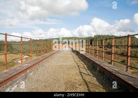 Il viadotto Big Water of Fleet attraversa la Big Water of Fleet a Dromore, vicino al Gatehouse of Fleet Dumfries e Galloway Scozia Foto Stock