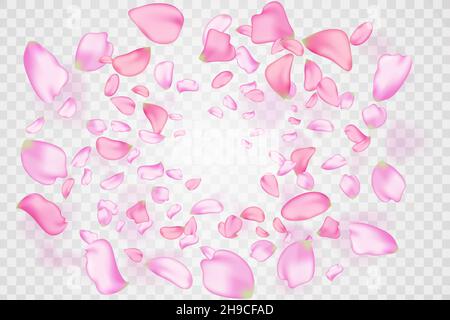 Natura orizzontale background.Pink cadere sakura petali e fiori. Illustrazione Vettoriale