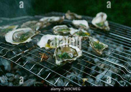 ostriche alla griglia con salsa fresca Foto Stock