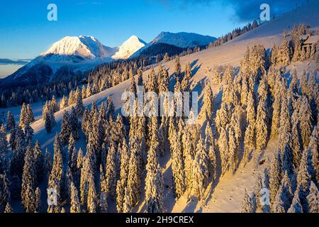 Sera paesaggio invernale in montagna, pineta al tramonto. Colline innevate. Piste da sci di fondo innevate, Krvavec, Slovenia Foto Stock