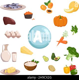 Fonte di vitamina A. raccolta di verdure, frutta ed erbe. Dieta alimentare. Stile di vita sano. La composizione dei prodotti. Illustrazione vettoriale Illustrazione Vettoriale