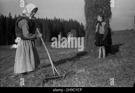 Zakopane, 1947-09. Podhale. Sianokosy na Smytniej Polanie. NZ. góralka grabi skoszon¹ trawê. po/mgs PAP Dok³adny dzieñ wydarzenia nieustalony. Zakopane, 1947 settembre. Regione di Podhale. Haying sulla compensazione di Smytnia. Nella foto: Un altopiano che rastrella erba. po/mgs PAP Foto Stock