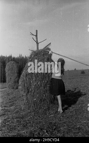 Zakopane, 1947-09. Podhale. Sianokosy na Smytniej Polanie. NZ. Dziewczynka uk³ada siano na ostrewkach. po/mgs PAP Dok³adny dzieñ wydarzenia nieustalony. Zakopane, 1947 settembre. Regione di Podhale. Haying su Smytnia Clearing. po/mgs PAP Foto Stock