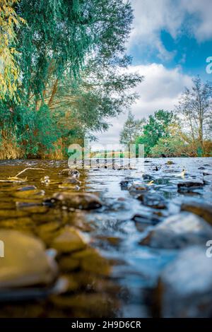 Immagini estive di River Teme, Leintwardine, Shropshire, Inghilterra. Foto Stock