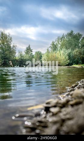 Immagini estive di River Teme, Leintwardine, Shropshire, Inghilterra. Foto Stock