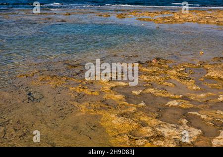 Paesaggio idilliaco del Sud Italia Puglia, riserva naturale di Torre Guaceto natura autentica con meravigliose nuvole Foto Stock