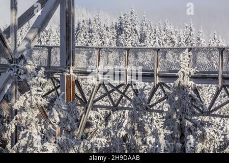 Dolni Morava Sky Walk in inverno, Repubblica Ceca Foto Stock