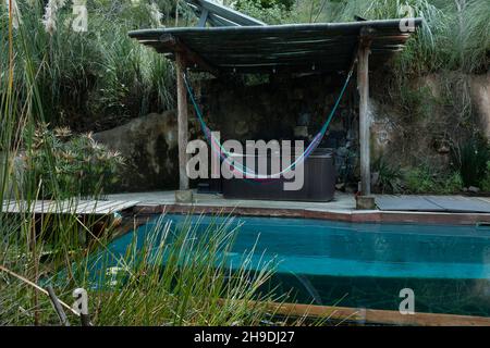 piscina all'aperto circondata da piante di rush e bambù in messico non c'è gente sul posto Foto Stock