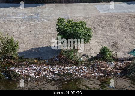 Plastica, polistirolo e altri rifiuti si scaricano dai canali della tempesta e si lavano lungo le rive di Ballona Creek dopo la prima pioggia maggiore dei mari Foto Stock