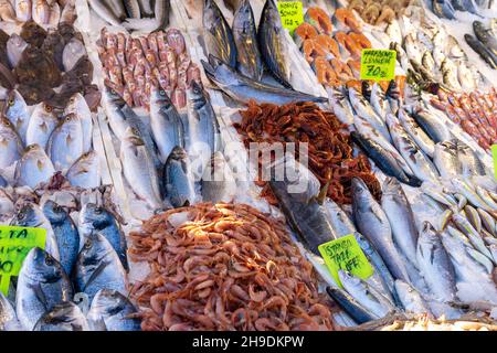 Kemer, Turchia - 08 novembre 2021: Pesci appena pescati sul bancone al mercato del pesce Foto Stock