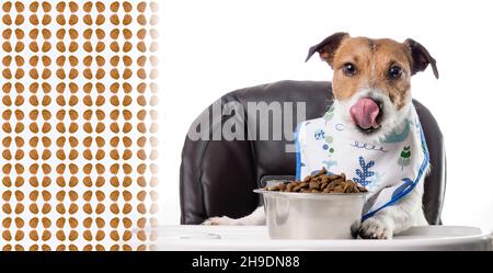 Cane che mangia cibo di kibble secco e lecca naso con lingua. Ritaglio panoramico con sfondo a ripetizione Foto Stock