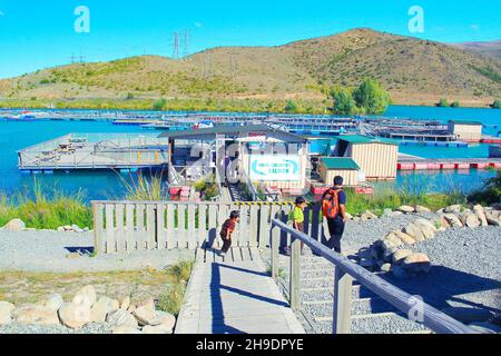 Salmone Fish Farm di Wairepo Arm, Twizel, Isola del Sud, Nuova Zelanda il 11 dicembre 2010 Foto Stock