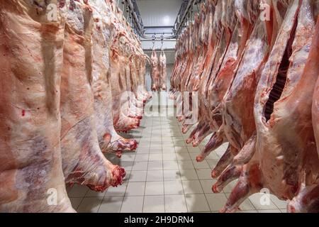 Carcasse di agnello appese ad uncini nel macello prima del trasferimento al mercato o al locale frigorifero o del taglio. Magazzino frigorifero, ganci appesi di congelato Foto Stock