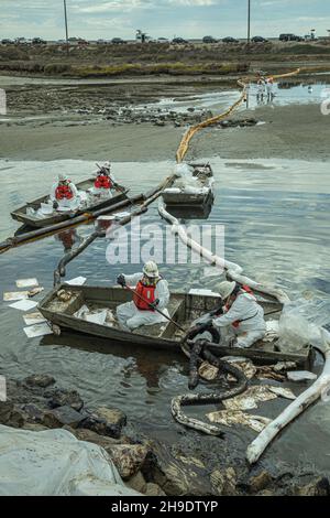 Un equipaggio pulisce il petrolio nel Talbert Marsh, che ospita molti uccelli e fauna selvatica. Si stima che 127,000 galloni di petrolio greggio fuoriusciti da un derrick petrolifero Foto Stock