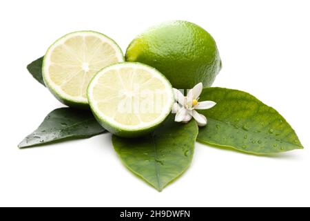 calce, mentendo, primo piano, mezzo fresco, mezzo, verde, intero, tre, lime, bello, foto studio, bianco, decorazione, frutta, frutta, fronte, sfondo, vita Foto Stock