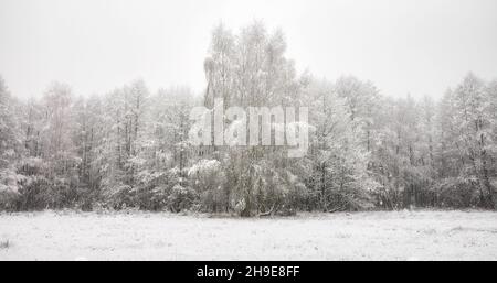 Paesaggio invernale durante le nevicate pesanti. Foto Stock