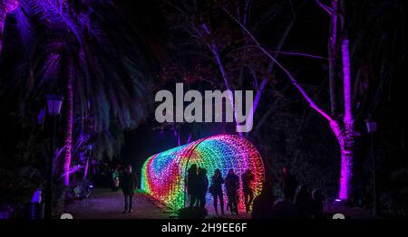 Malaga, Spagna. 6 dicembre 2021: 6 dicembre 2021 (Malaga il giardino botanico di Malaga è trasformato in una storia di Natale, un'oasi di stile paesaggistico inglese con più di 150 anni di storia. Credit: ZUMA Press, Inc./Alamy Live News Foto Stock