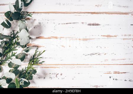 Cornice fatta di rami di eucalipto su sfondo bianco Foto Stock