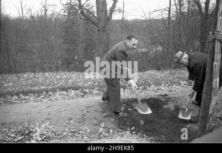 Warszawa, 1947-11. Prezydent Boles³aw Bierut (L) bierze udzia³ w spo³ecznej akcji jesiennego sadzenia drzew w Parku Natoliñskim. po/mgs PAP Dok³adny dzieñ wydarzenia nieustalony. Varsavia, novembre 1947. Il Presidente Boleslaw Bierut (a sinistra) partecipa ad una campagna sociale autunnale per la piantagione di alberi nel Parco Natolin. po/mgs PAP