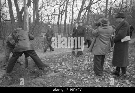 Warszawa, 1947-11. Prezydent Boles³aw Bierut (z lewej ze szpadlem) bierze udzia³ w spo³ecznej akcji jesiennego sadzenia drzew w Parku Natoliñskim. Z prawej ekipa Polskiej Kroniki Filmowej: W³adys³aw Forbert (z kamer¹). po/mgs PAP Dok³adny dzieñ wydarzenia nieustalony. Varsavia, novembre 1947. Il presidente Boleslaw Bierut (a sinistra con una forcella) partecipa ad una campagna sociale autunnale per la piantagione di alberi nel Parco Natolin. Sulla destra l'equipaggio del reel polacco: Wladyslaw Forbert (con una macchina fotografica). po/mgs PAP