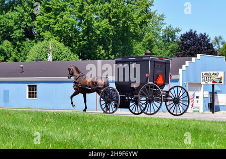 Lagrange, Indiana, Stati Uniti. Una carrozza o un buggy Amish in una piccola comunità nord-orientale dell'Indiana che attraversa un'autostrada. Foto Stock