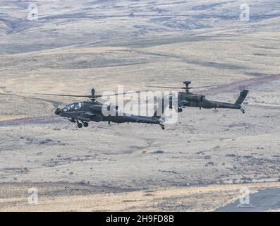 Un elicottero AH-64E assegnato al Battaglione di attacco 1-229th 'Tigerskks', sedicesimo brigata dell'aviazione di combattimento, si librò accanto ad un AH-64D assegnato alla prima unità di elicottero da battaglia, forza di difesa del suolo giapponese al centro di addestramento di Yakima, Washington, il 6 dicembre 2021. Le unità stanno conducendo un missile combinato Hellfire sparare con un posto di osservazione combinato americano e giapponese come parte di esercizio Rising Thunder 21. (STATI UNITI Foto dell'esercito di Capt. Kyle Abraham, sedicesimo brigata dell'aviazione di combattimento) Foto Stock