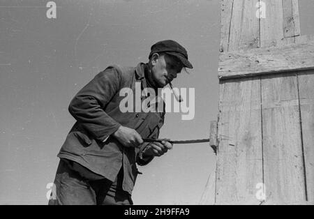 Warszawa, 1948-02. Budowa gmachu Ministerstwa Przemys³u i Handlu przy pl. Trzech Krzy¿y. Pprzy tej konstrukcji po raz pierwszy zastosowano tzw. Pustaki gruz-betonowe, wytwarzane na placu budowy wed³ug metody Przedsiêbiorstwa Buddownictha Przemys³owego z gruzu. NZ. Prace na czwartej kondygnacji budynku. uu PAP Dok³adny dzieñ wydarzenia nieustalony. Varsavia, 1948 febbraio. La costruzione dell'industria e del commercio in Piazza Trzech Krzyzy dove per la prima volta sono stati utilizzati i cosiddetti mattoni cavi in cemento macerie. I mattoni sono stati prodotti al cantiere da macerie, secondo Foto Stock