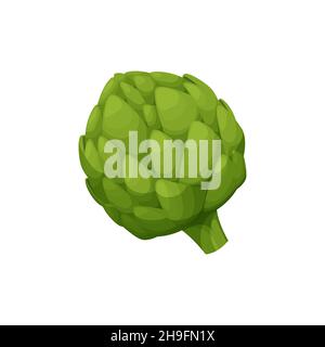 Globo carciofo o verde carciofo isolato cibo vegetariano. Vettore cynara cardunculus fiore germoglio, verdure sano vegetariano. Realistico artico francese fresco Illustrazione Vettoriale