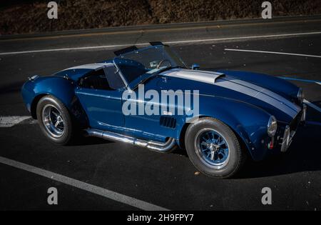 Placerville, Stati Uniti d'America - 25 novembre 2020: Classica auto muscolare americana rara, convertibile vintage blu 1967 Ford Shelby Cobra 427 Foto Stock